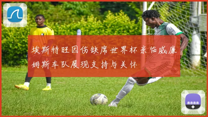 埃斯特旺因伤缺席世界杯亲临威廉姆斯车队展现支持与关怀